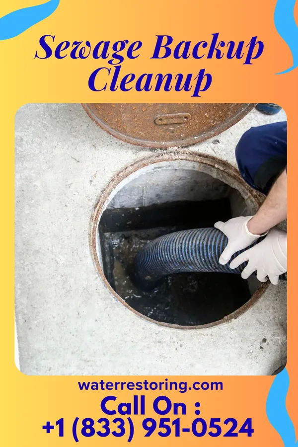 Sewage Backup Cleanup in Valders, WI